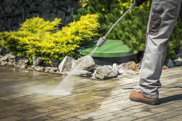 Best Pool Deck Cleaning  in Homewood, IL
