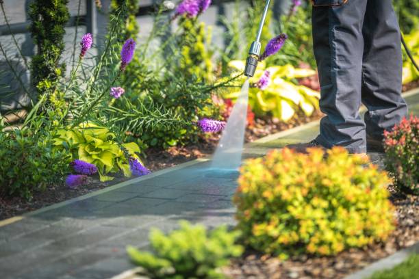 Best Pre-Holiday Cleaning  in Homewood, IL
